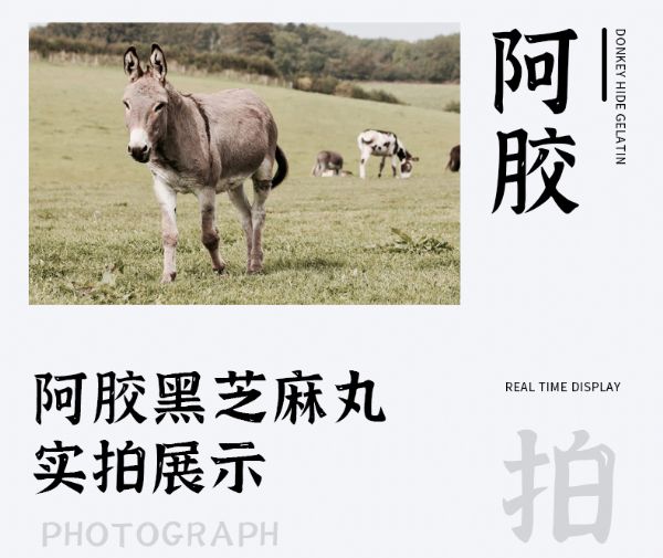 微信圖片_20220808114812_07.jpg